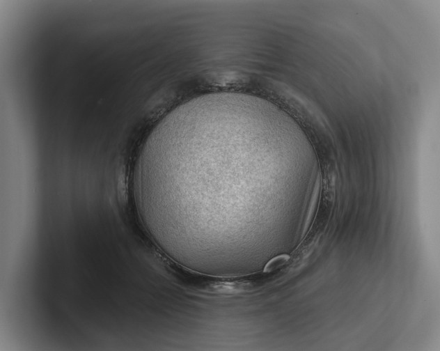 X0000102280558200808081504