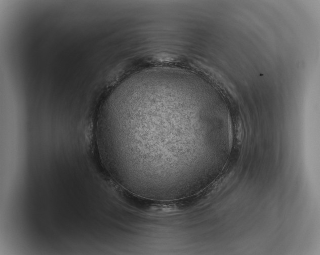 X0000102280559200808081504