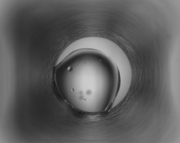 X0000102280560200808081504