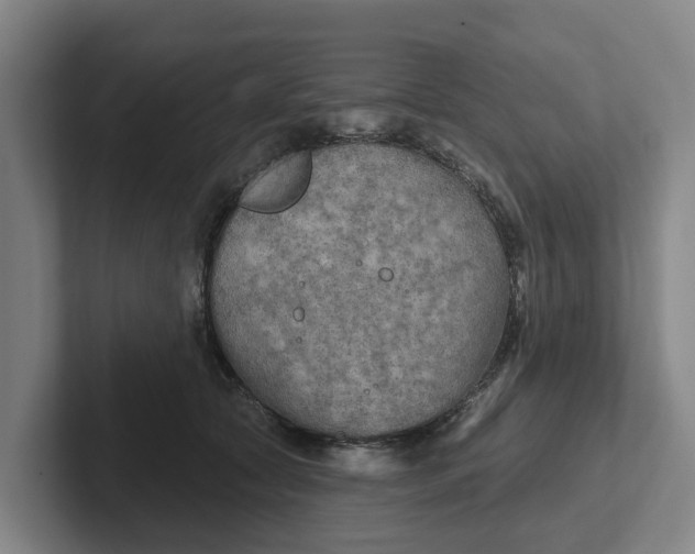 X0000102280561200808081504