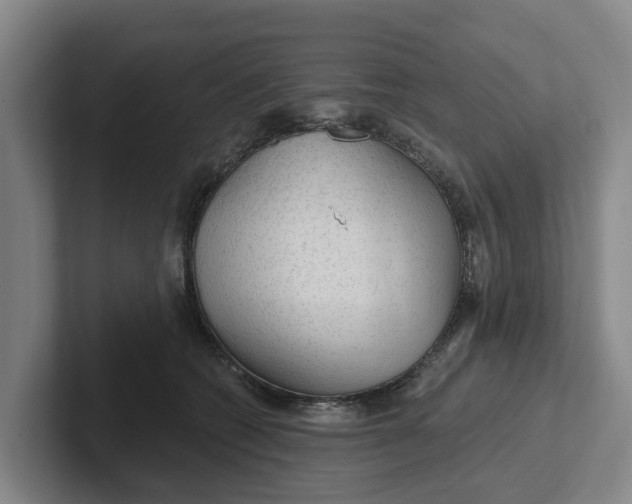 X0000102280562200808081504