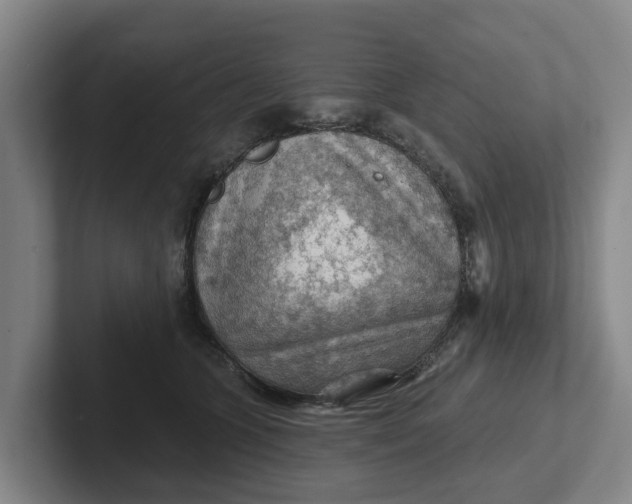 X0000102280563200808081504