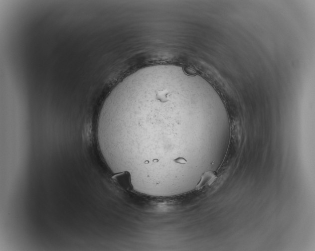 X0000102280564200808081504