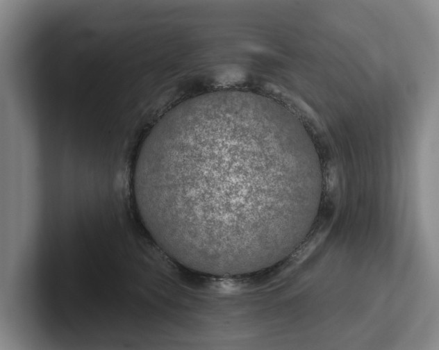 X0000102280565200808081504