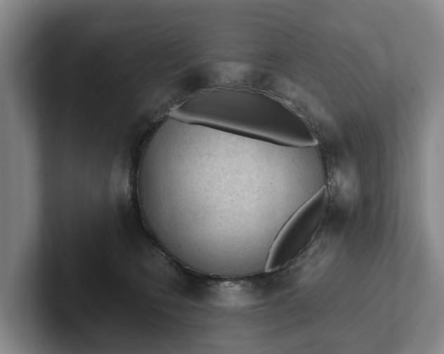 X0000102280566200808081504