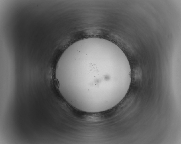 X0000102280567200808081504