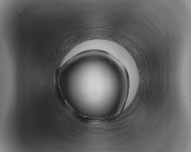 X0000102280568200808081504