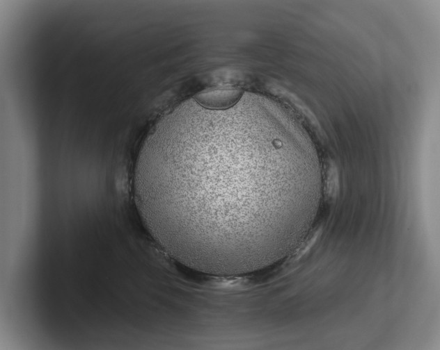 X0000102280569200808081504