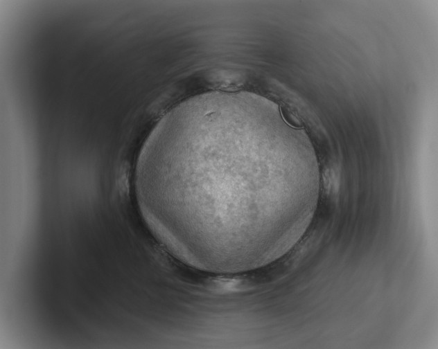 X0000102280570200808081505