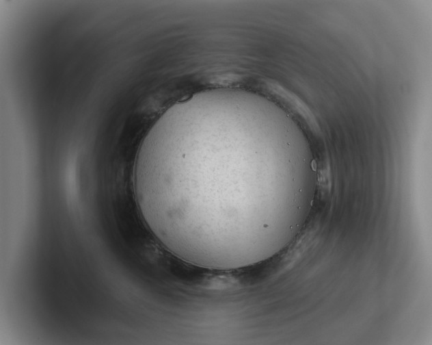 X0000102280572200808081505