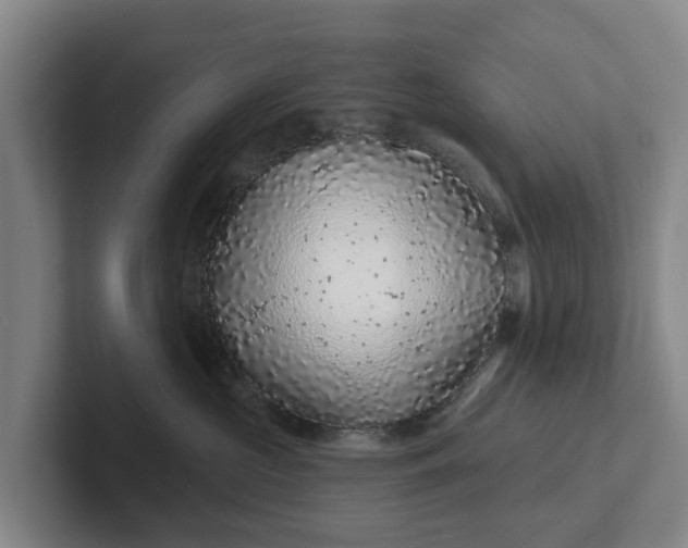 X0000102280573200808081505