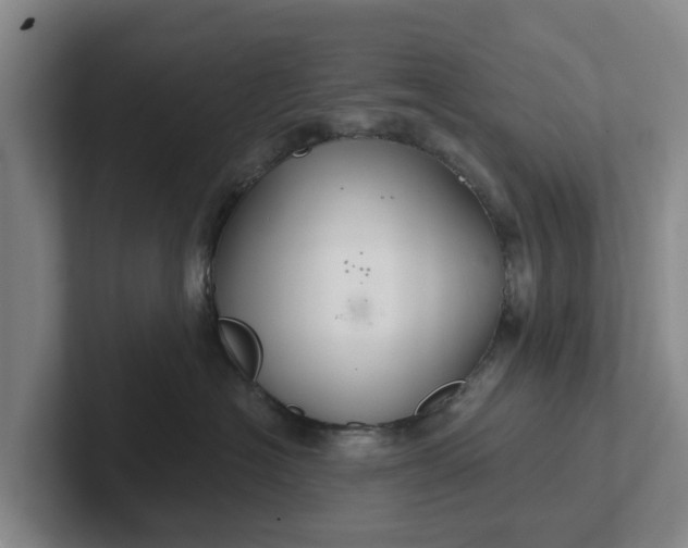 X0000102280574200808081505