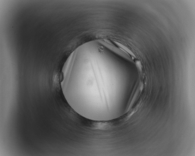 X0000102280575200808081505