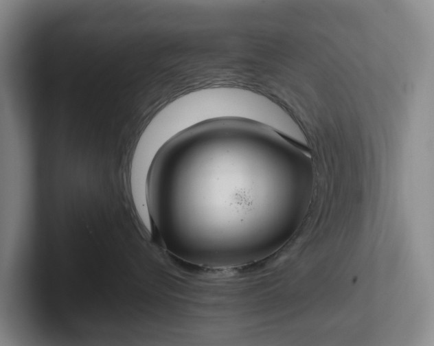 X0000102280576200808081505