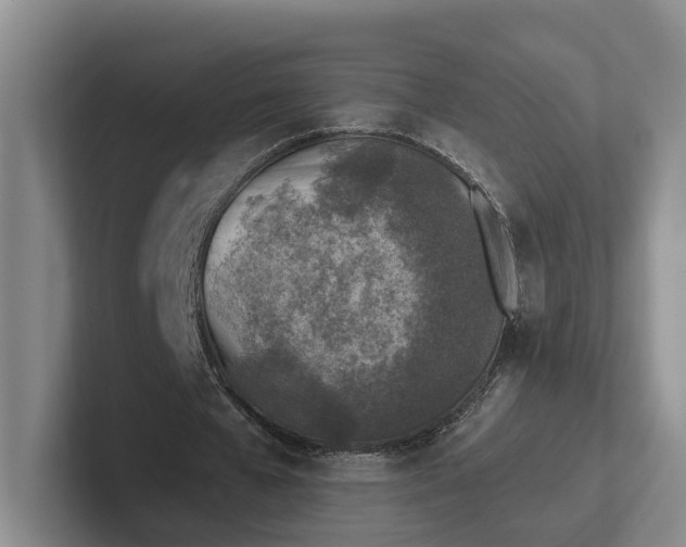 X0000102280577200808081504