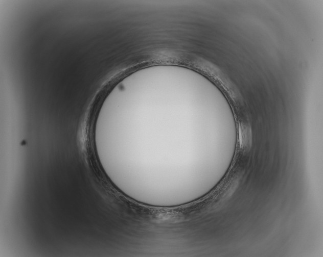 X0000102280579200808081504