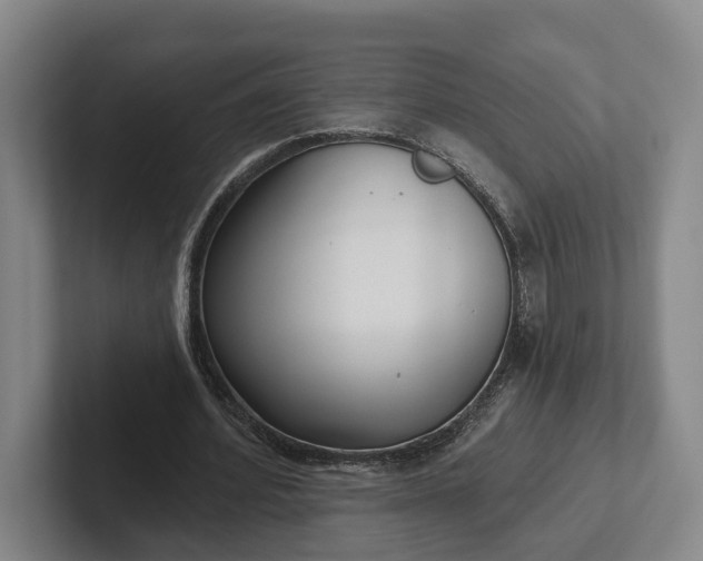 X0000102280580200808081504