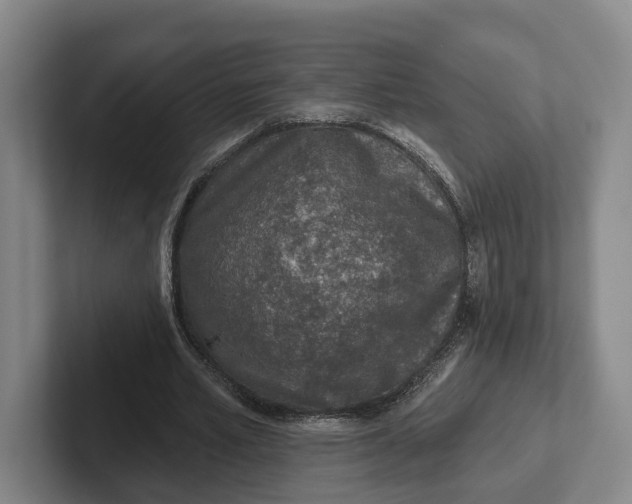 X0000102280581200808081504