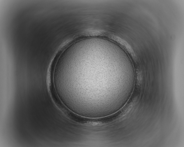 X0000102280582200808081504