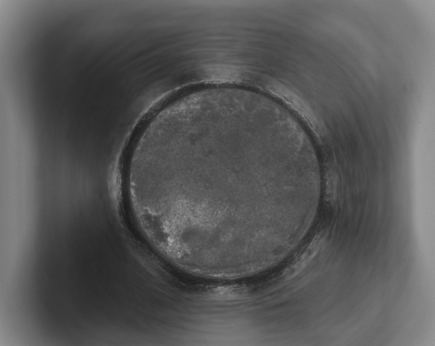 X0000102280584200808081504