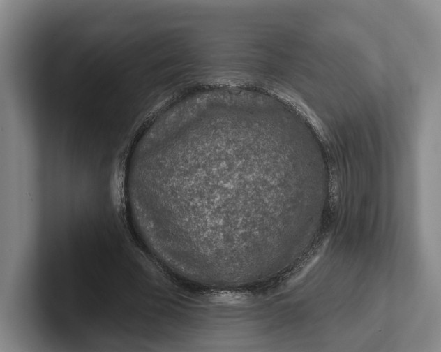 X0000102280585200808081504