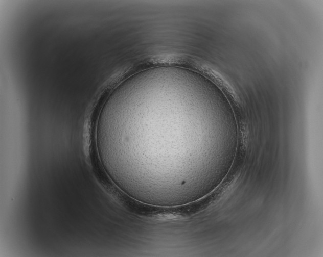 X0000102280586200808081504