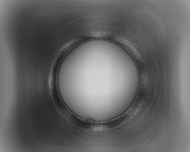 X0000102280587200808081504