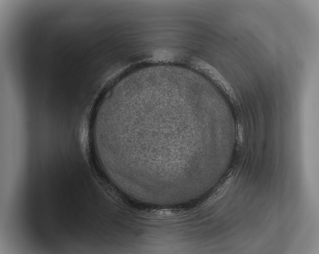 X0000102280588200808081504