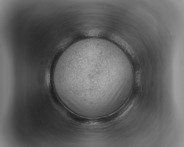 X0000102280589200808081504