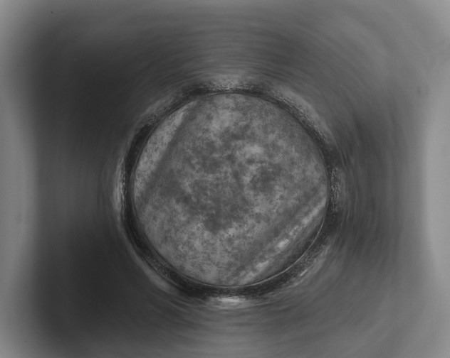 X0000102280590200808081504