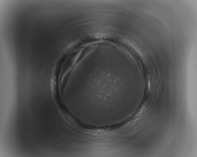 X0000102280592200808081504