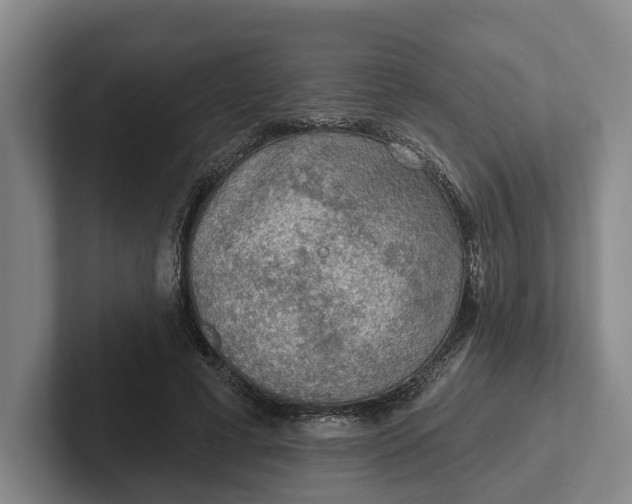 X0000102280593200808081504