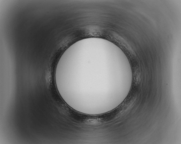 X0000102280595200808081504