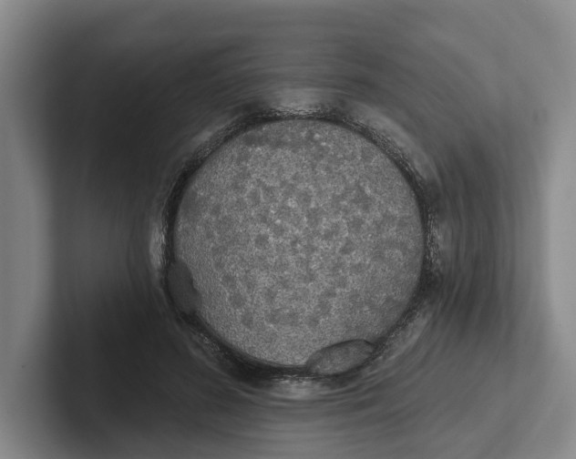 X0000102280596200808081504