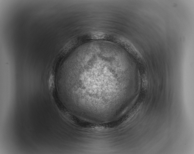 X0000102280598200808081504