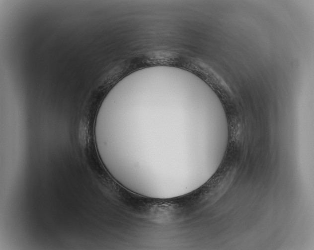 X0000102280599200808081504