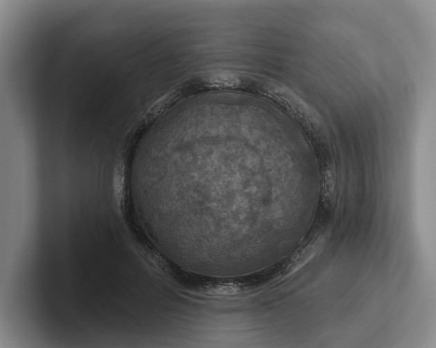 X0000102280600200808081504