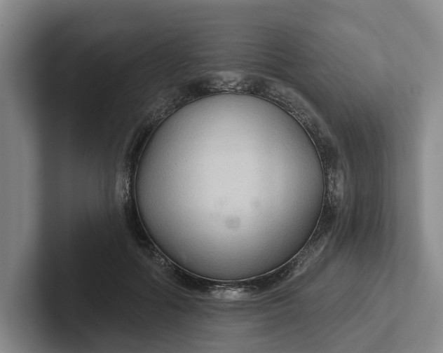 X0000102280602200808081504