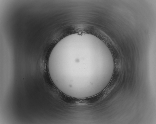 X0000102280603200808081504