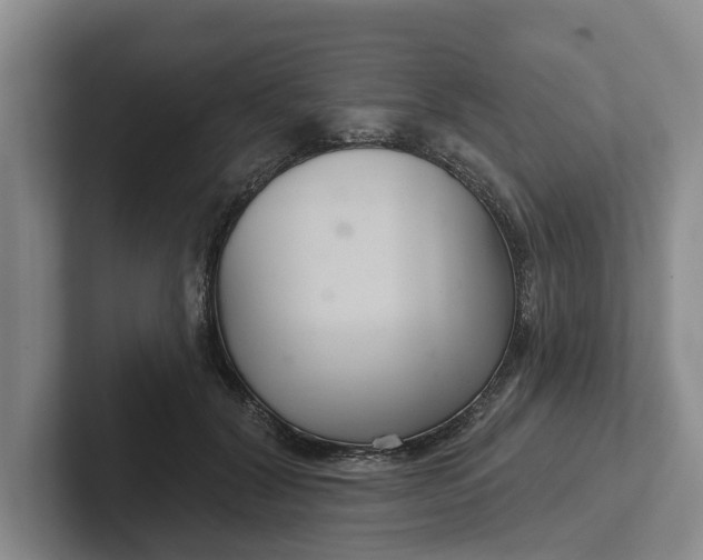 X0000102280604200808081504