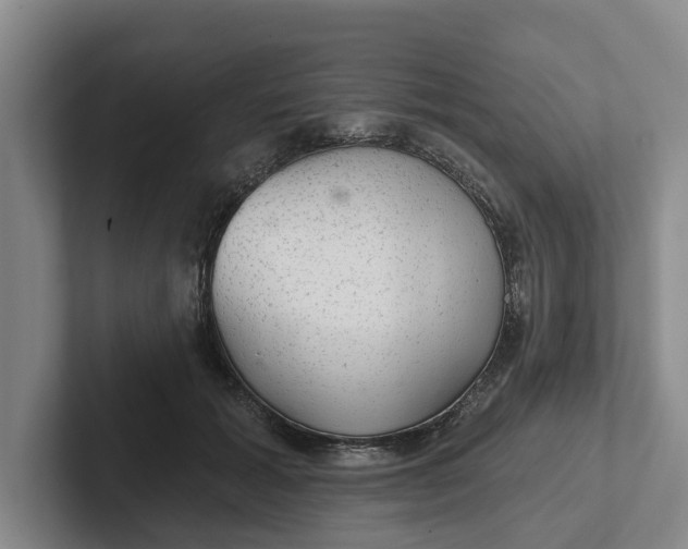 X0000102280605200808081504