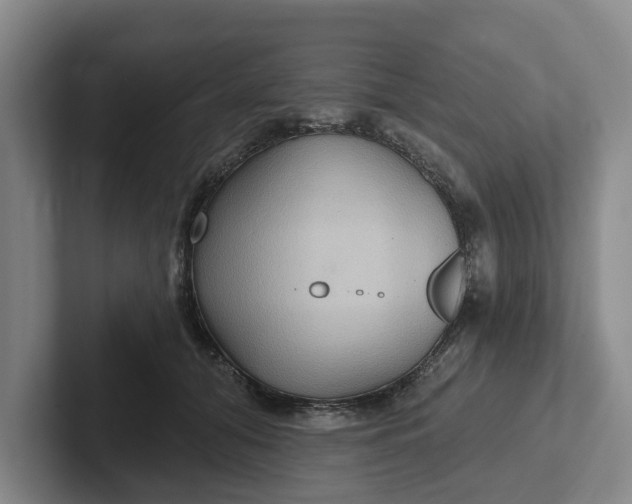 X0000102280608200808081504