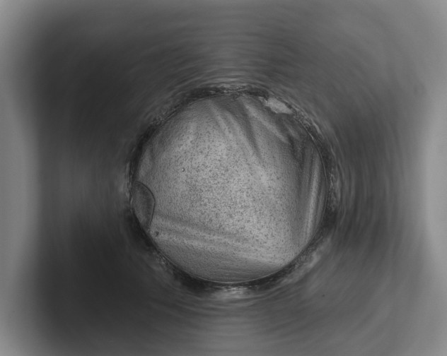 X0000102280609200808081504