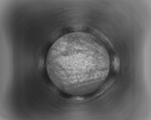 X0000102280610200808081504