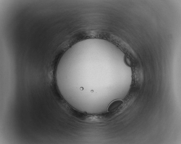 X0000102280611200808081504