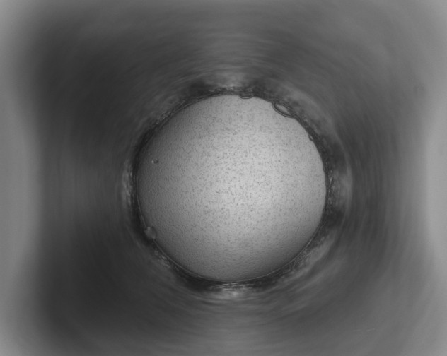 X0000102280612200808081504