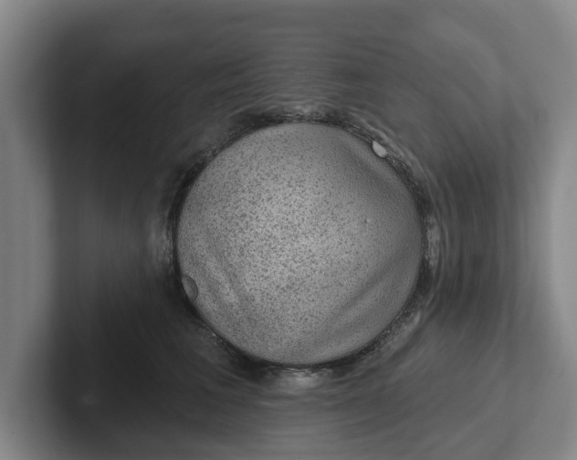 X0000102280613200808081503