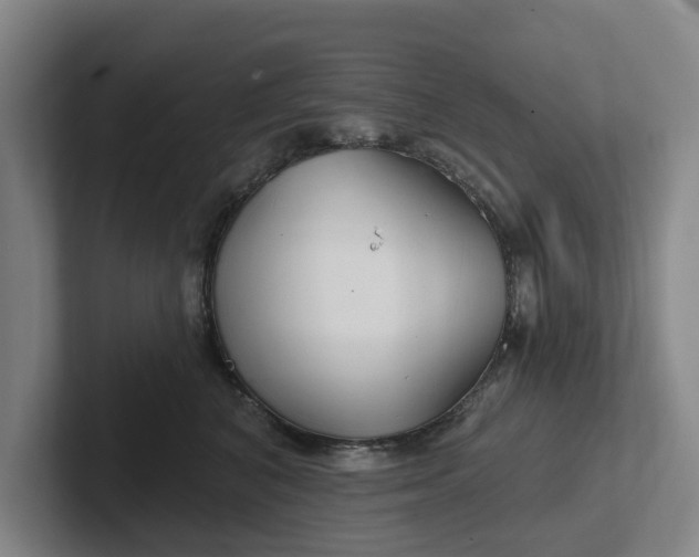 X0000102280616200808081503