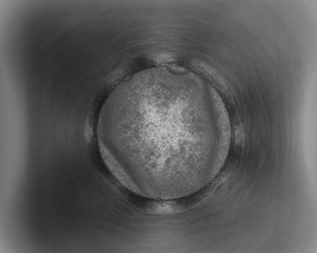 X0000102280618200808081503