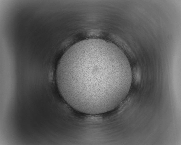 X0000102280619200808081503